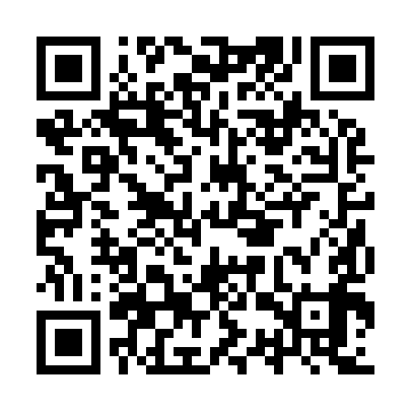 QR code for ISR999