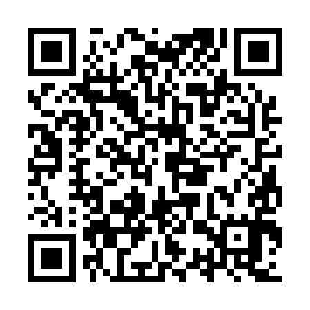 QR code for ISS195