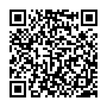 QR code for IST993