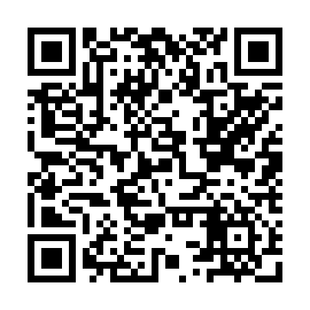 QR code for ISW217