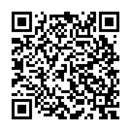 QR code for IUC381