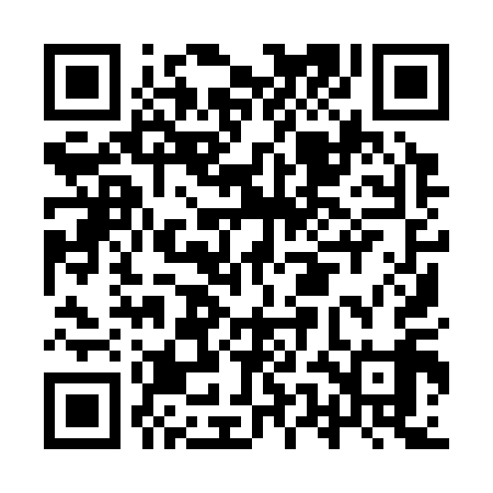 QR code for IUI319