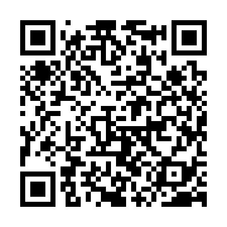 QR code for IUI339