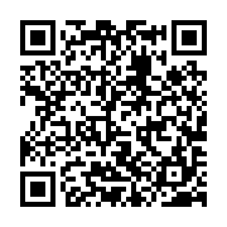 QR code for IVL294