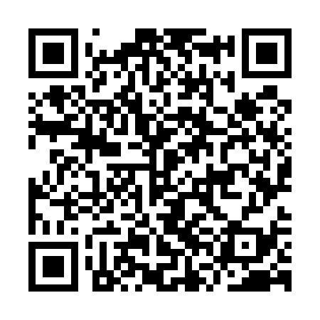 QR code for IVO539