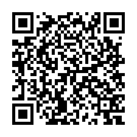QR code for IVR173