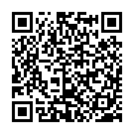QR code for IVR251