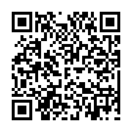 QR code for IVR397