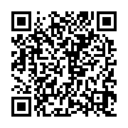 QR code for IYD333