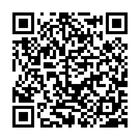 QR code for IYL095