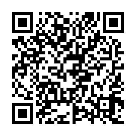 QR code for IYN919