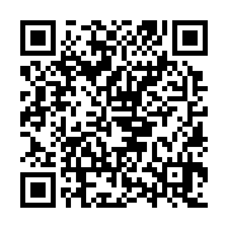 QR code for IYO334