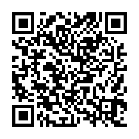 QR code for IYP041
