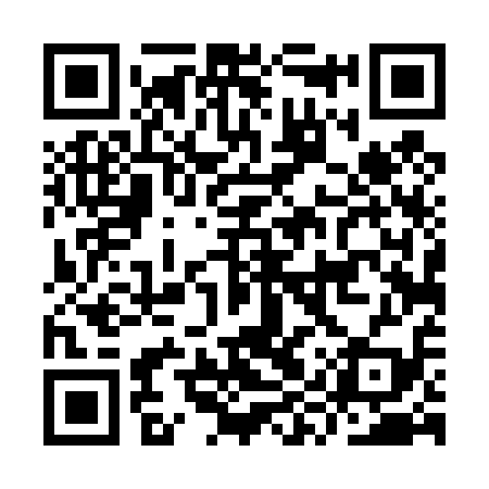 QR code for IYT419