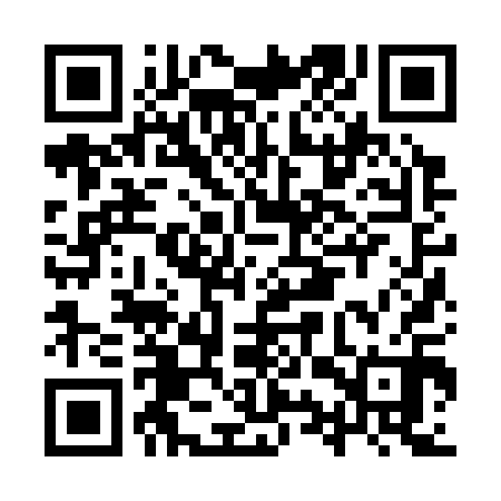 QR code for IYZ310