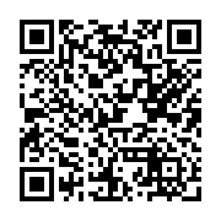 QR code for IZH311