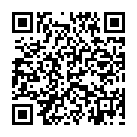 QR code for IZH856