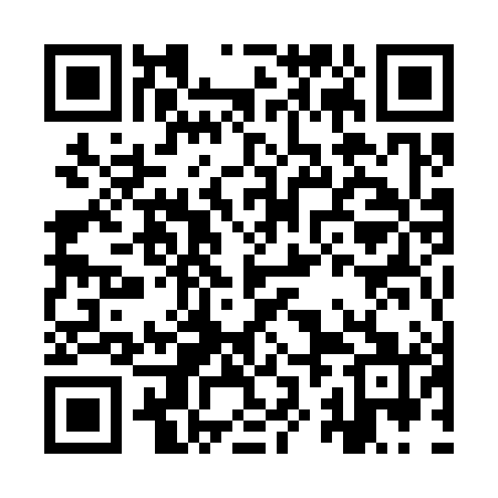 QR code for IZM381
