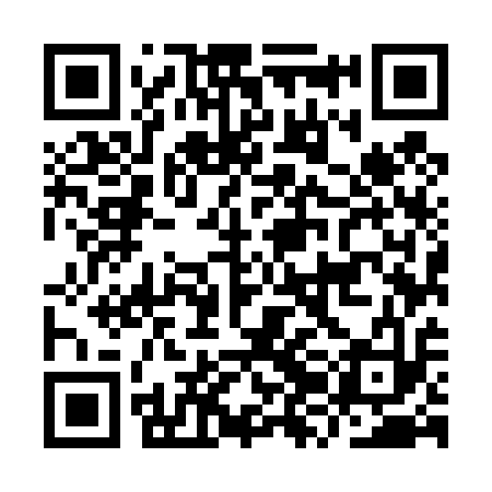 QR code for IZM413