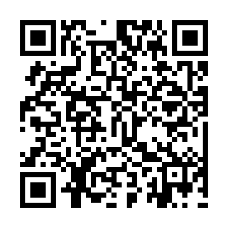 QR code for IZR382