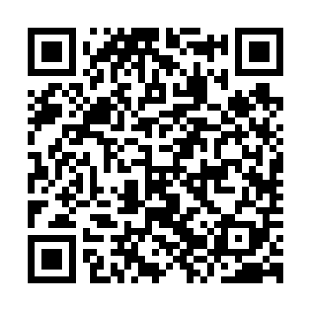 QR code for IZR609