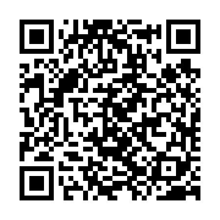 QR code for IZR669