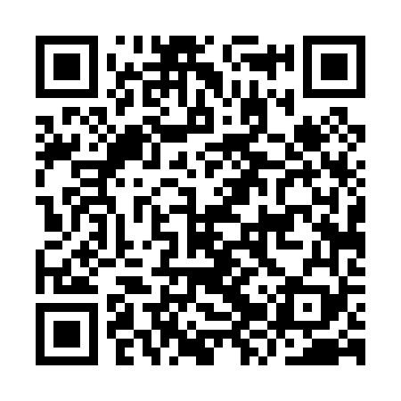 QR code for IZT069