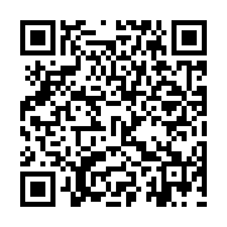 QR code for IZT941