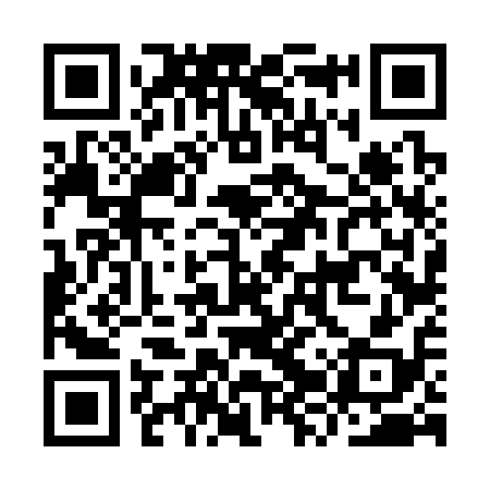 QR code for IZV318