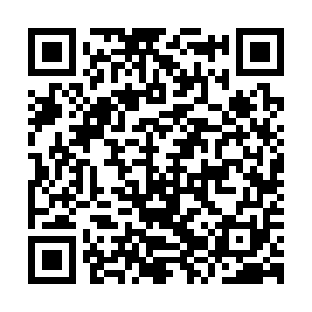 QR code for IZV351