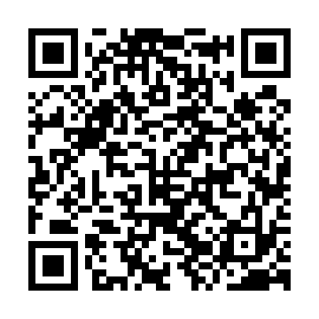 QR code for IZV533