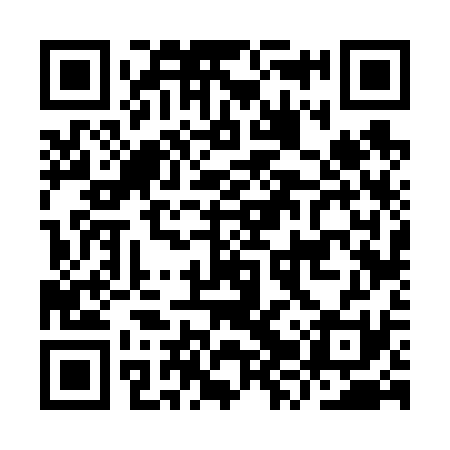 QR code for IZV631