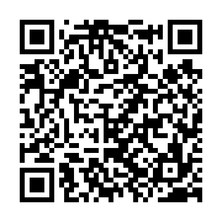 QR code for IZV636