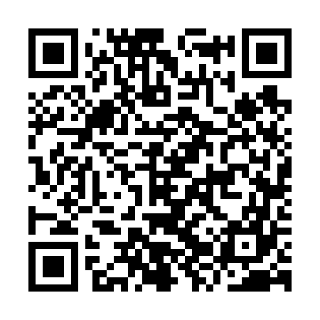 QR code for IZV667