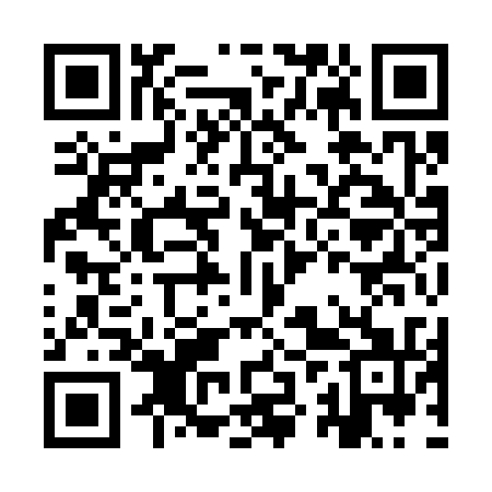 QR code for IZY331