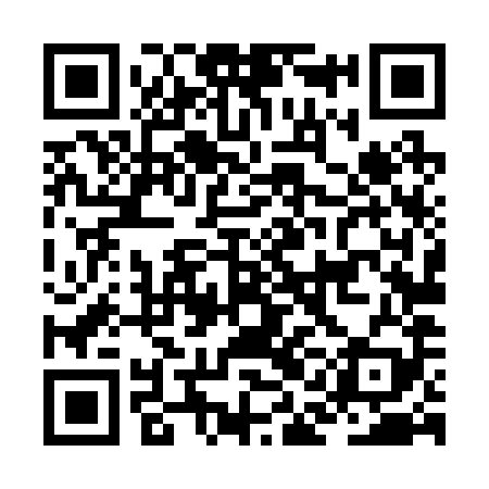 QR code for JAL289