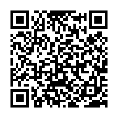 QR code for JAL493