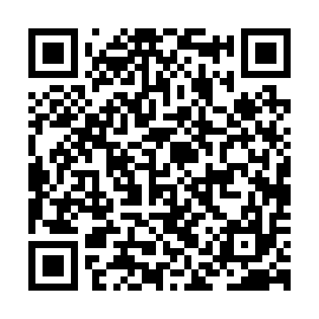 QR code for JAP217