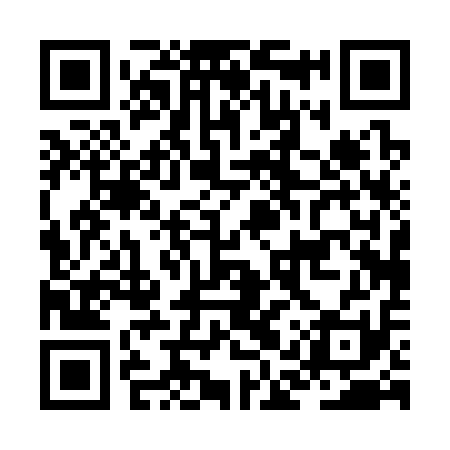 QR code for JAP311