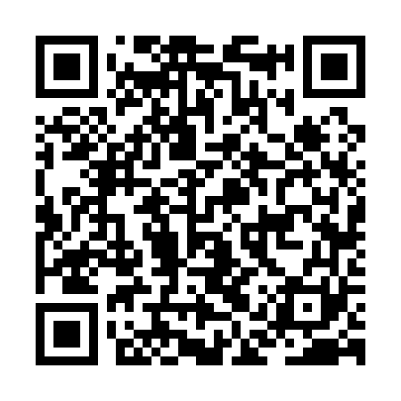 QR code for JAV161