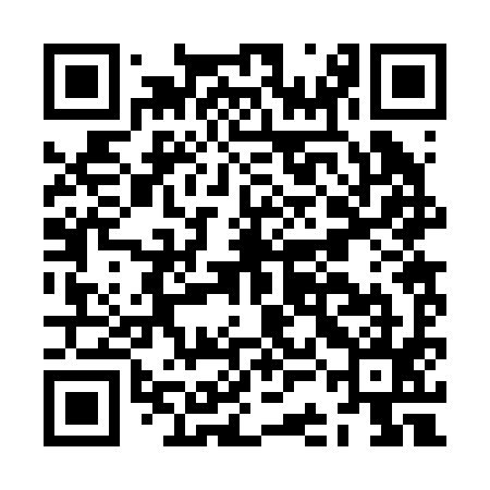 QR code for JCB295