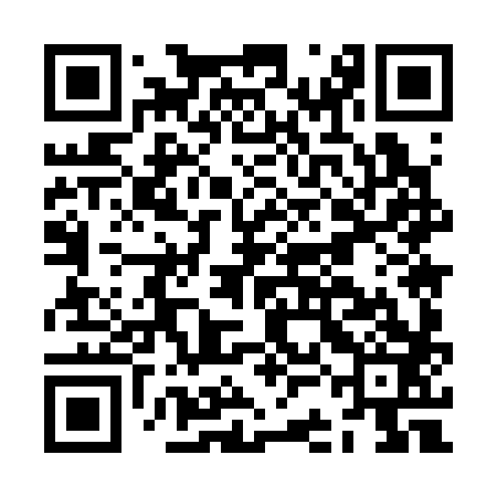 QR code for JCM383