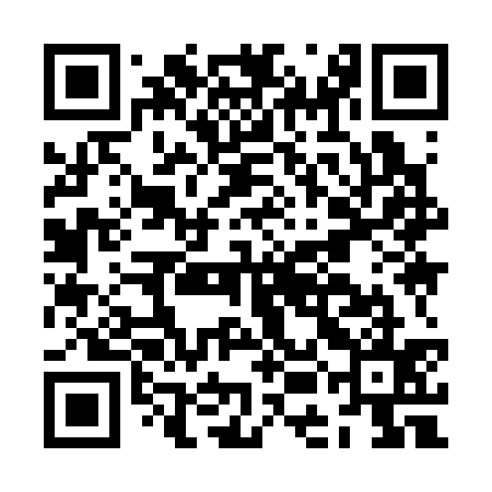 QR code for JEI335