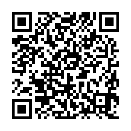 QR code for JES991