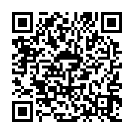 QR code for JET313