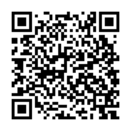 QR code for JGF313