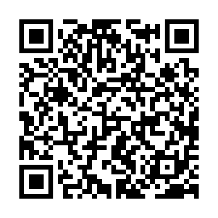 QR code for JGP311