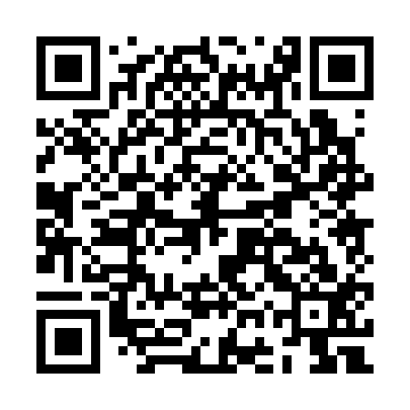QR code for JGP313