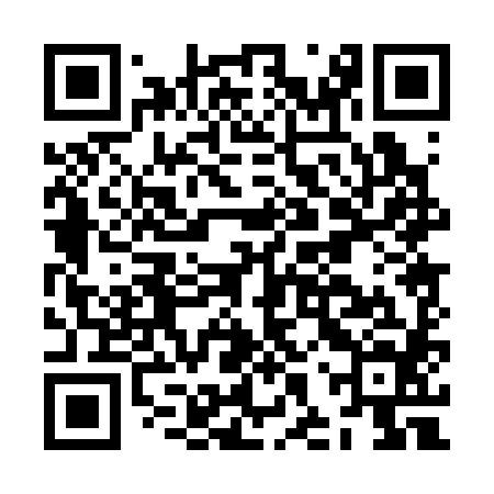 QR code for JHP384