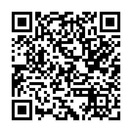 QR code for JIC383